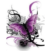 Wendy Stottlar's photo
