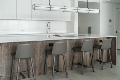 Kitchen photo in Miami