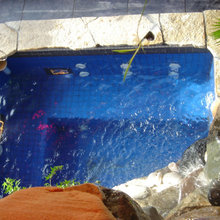 swim spas plunge pools
