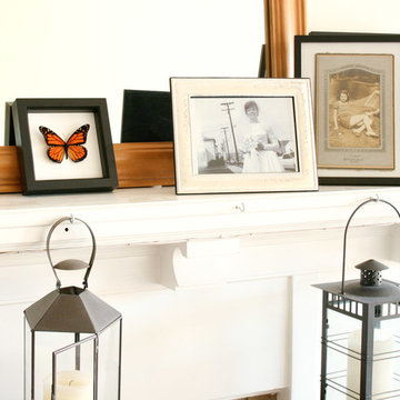 Framed Butterfly Displays