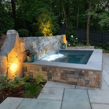 Lexington Plunge pool and Patio