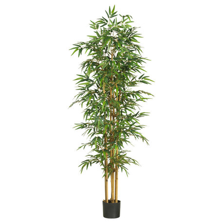 75" Bamboo Silk Tree
