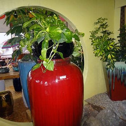 Container gardening - Products