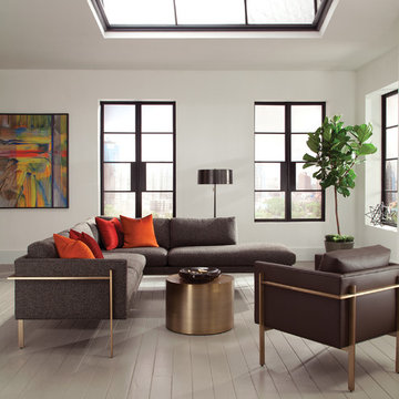 Modern Apartment Living Room with Skylight from Thayer Coggin and Milo Baughman