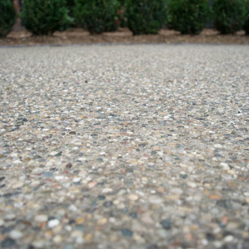 Front Yard Boxwood and Hardscape