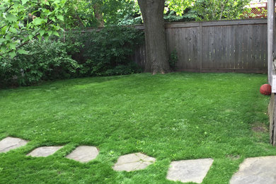 Lawn Restoration 2016
