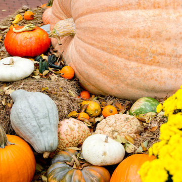 Houzz TV: Take a Leaf-Peeping Road Trip in New England