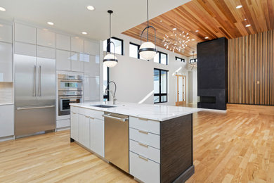 Example of a large trendy l-shaped medium tone wood floor, brown floor and tray ceiling eat-in kitchen design in Denver with an undermount sink, flat-panel cabinets, white cabinets, gray backsplash, cement tile backsplash, stainless steel appliances, an island, white countertops and quartzite countertops