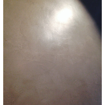 Venetian Plaster in Master Bathroom **Austin, TX 11/2014**
