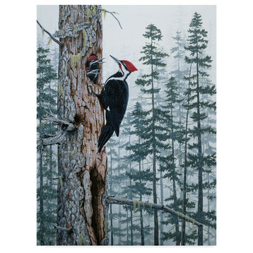Jeff Tift 'Piliated Woodpeckers' Canvas Art, 24"x18"