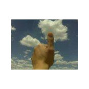 Tonya Detten's photo