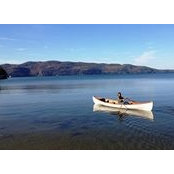 Sandy Bove's photo