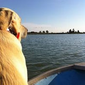 Allyson Webster's photo