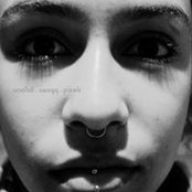Dante Kemps foto