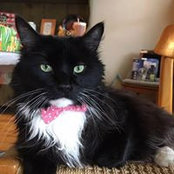 Paula Middleton's photo