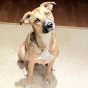 Kate Donovan's photo