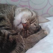 Karin Dalbak's photo