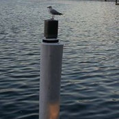 Foto von Maha Elwy
