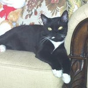 Margaret Brokos's photo