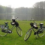 Foto von Matt Matt