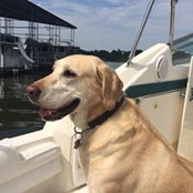 Robert Moore's photo