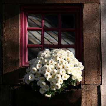 Half Mile Farm Exterior