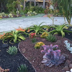 Anderson S La Costa Nursery Encinitas Ca Us 92024 La Costa Nursery Encinitas Ca