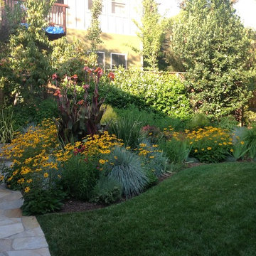 Landscape Design & Installation