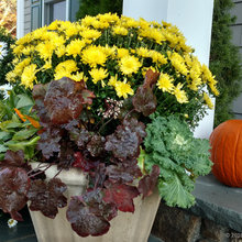 Urns