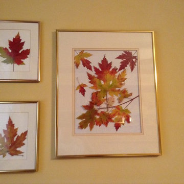 Fall Transformations