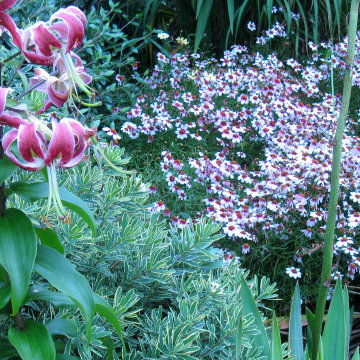 True Fine Garden Horticultural Service