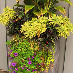 Container Gardens - Outdoor Pots And Planters