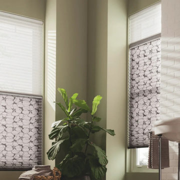 Pleated Shades