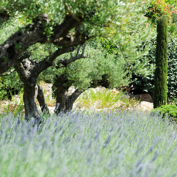 Jardin Provençal