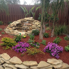 My Backyard
