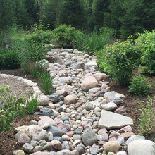 Dry Creek Beds