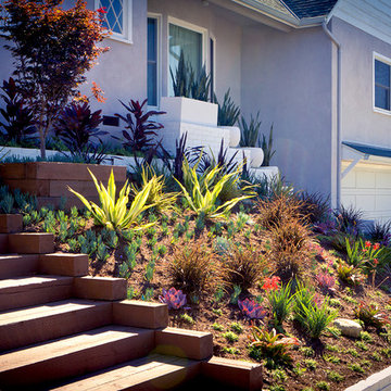 Baldwin Hills - CA Native Hillside