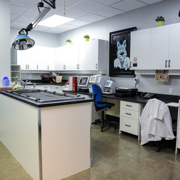 Guildford Animal Hospital