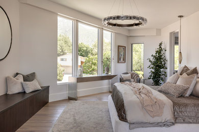 Inspiration for a contemporary bedroom remodel in Salt Lake City