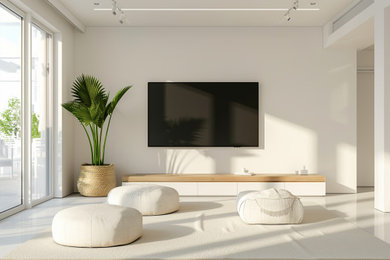 TV mounting service