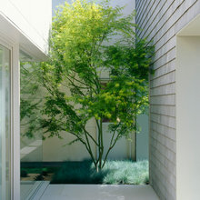 entry garden spaces around house