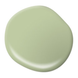 Marjoram M360-4 - Paint