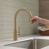 Delta Trinsic Single Handle Pull-Down Kitchen Faucet, Champagne Bronze