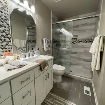 Master Bathroom Remodel