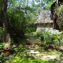 eclectic landscape