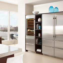Sub-Zero 30" All Freezer Stainless Steel | IT-30FI - Freezers