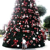 Cheryl Villa's photo