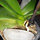 webuser_204039925