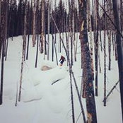 Sean Kendal's photo