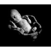Toni Zanotti Gray's photo
